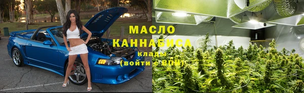 Альфа ПВП Бородино