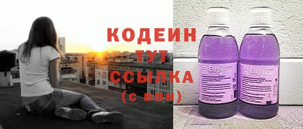 дживик Богородск